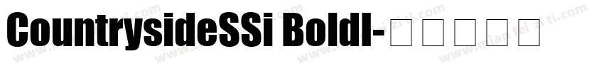 CountrysideSSi BoldI字体转换